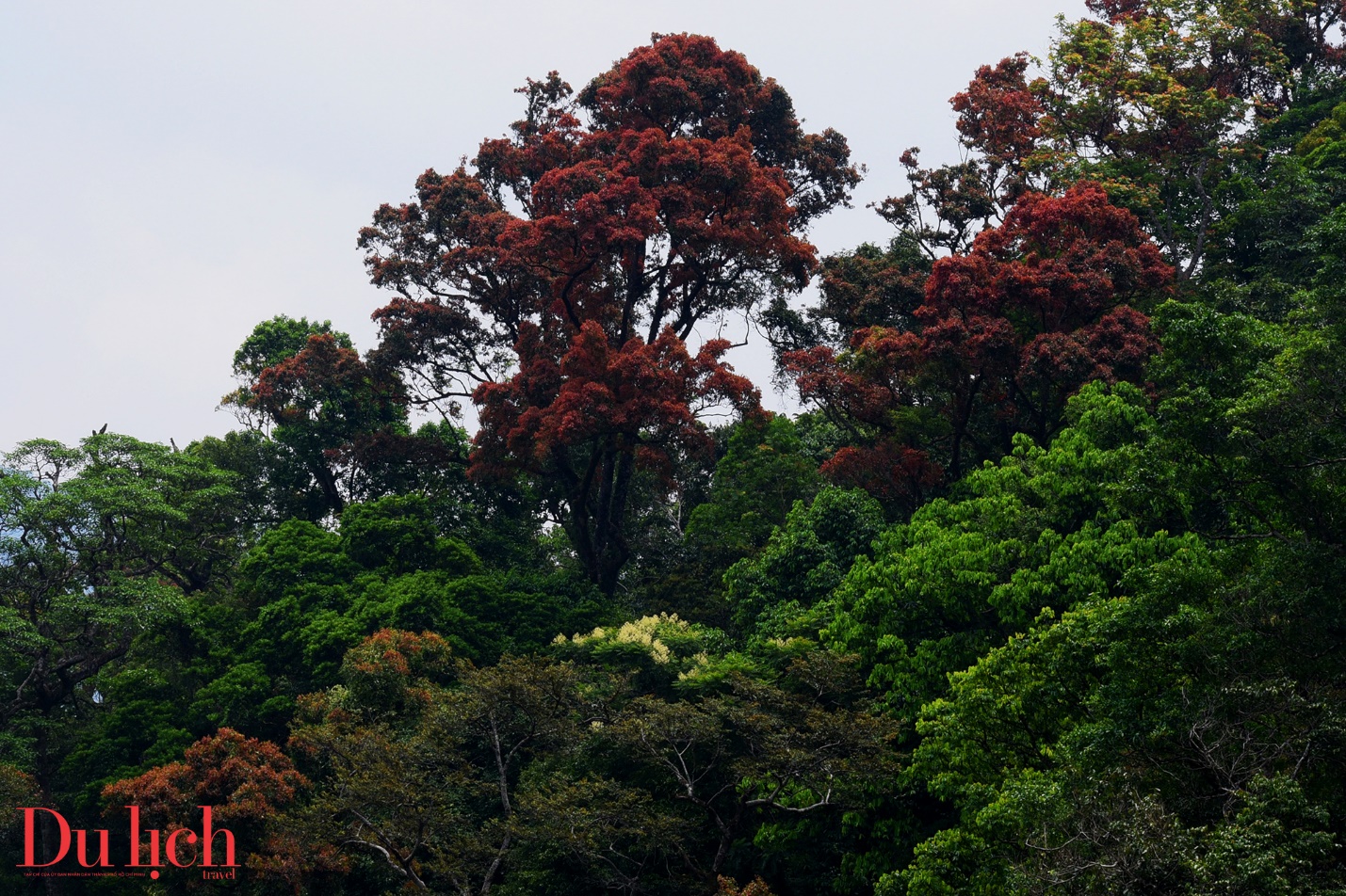 cung duong truong son dong dep nhu mo vao mua hoa no - 17