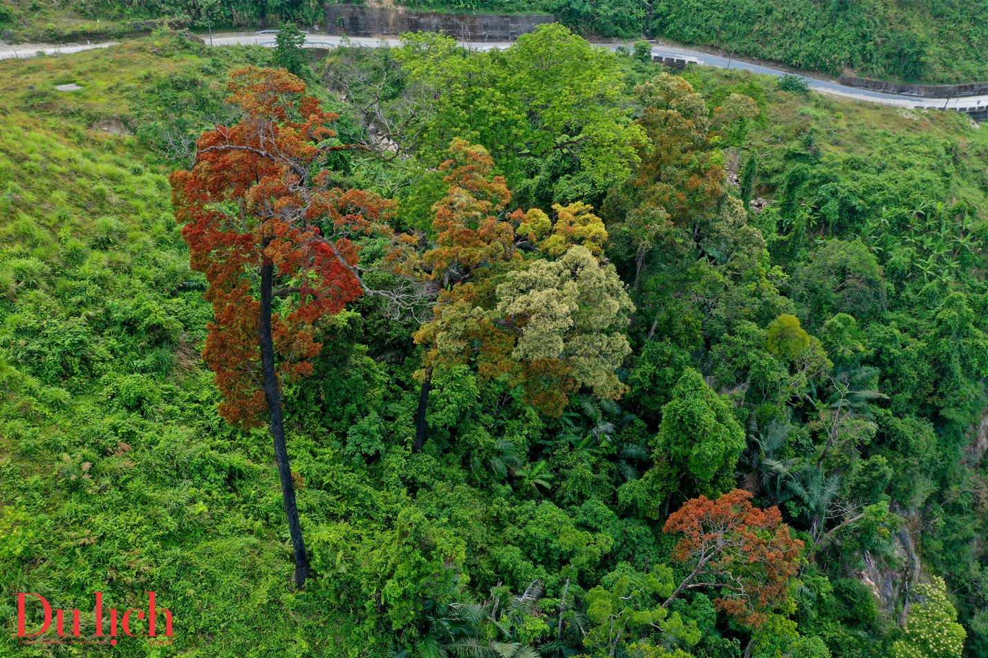 cung duong truong son dong dep nhu mo vao mua hoa no - 14