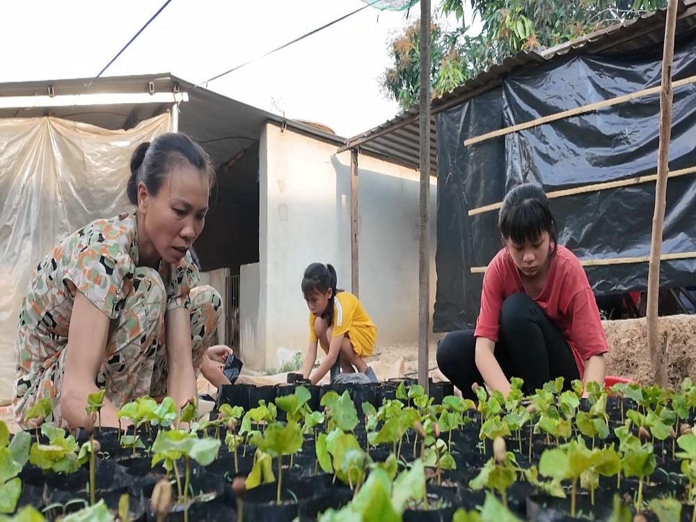 MC Thanh Thảo, Trương Đình Hoàng, Mai Phương xúc động trước hoàn cảnh người phụ nữ tần tảo lo cho chồng bệnh cùng 3 con thơ - 2