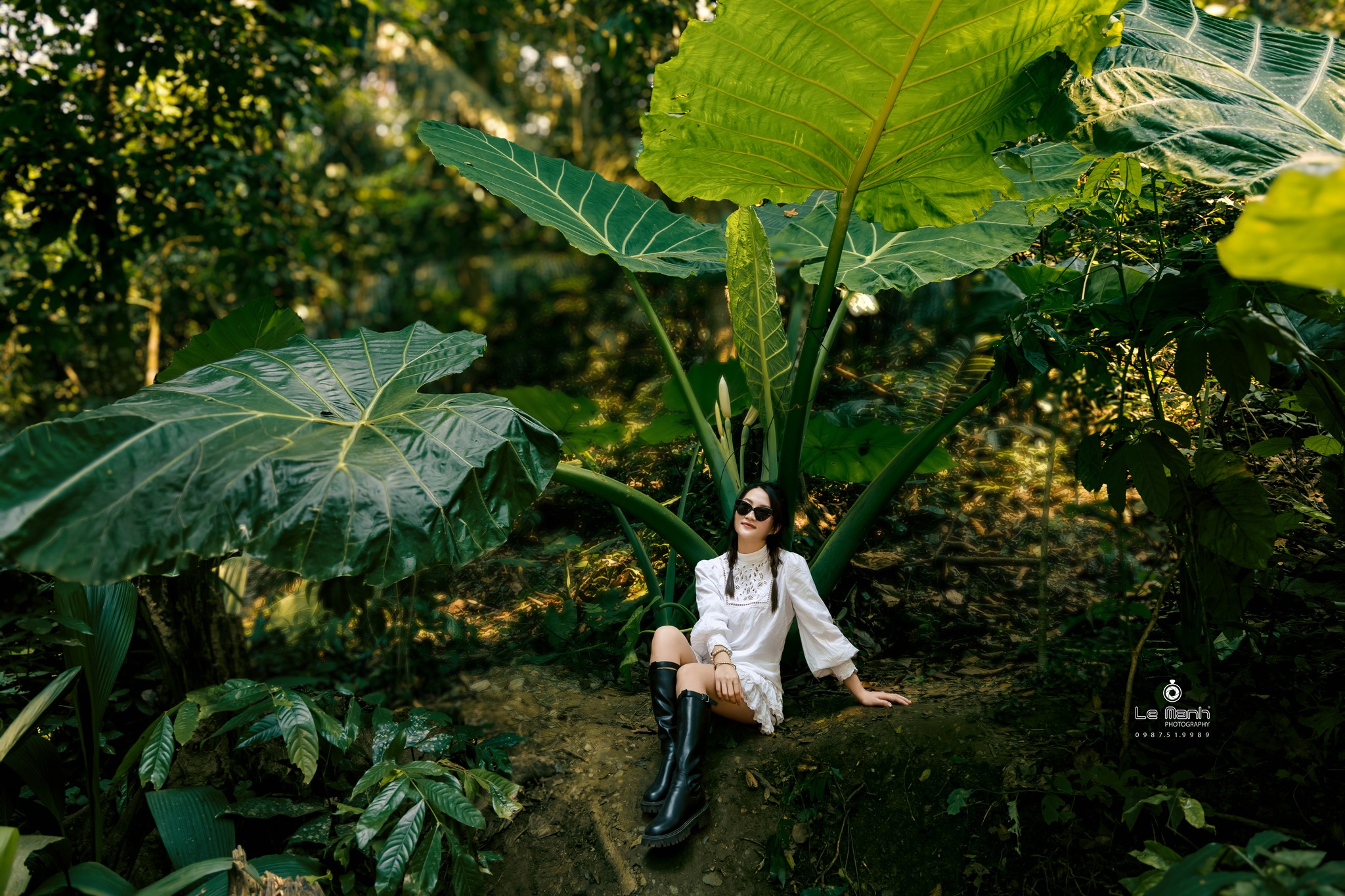 Check - in cây ráy khổng lồ đang hot rần rần, nơi du khách bỗng hóa 'người tí hon' giữa rừng già! - 3