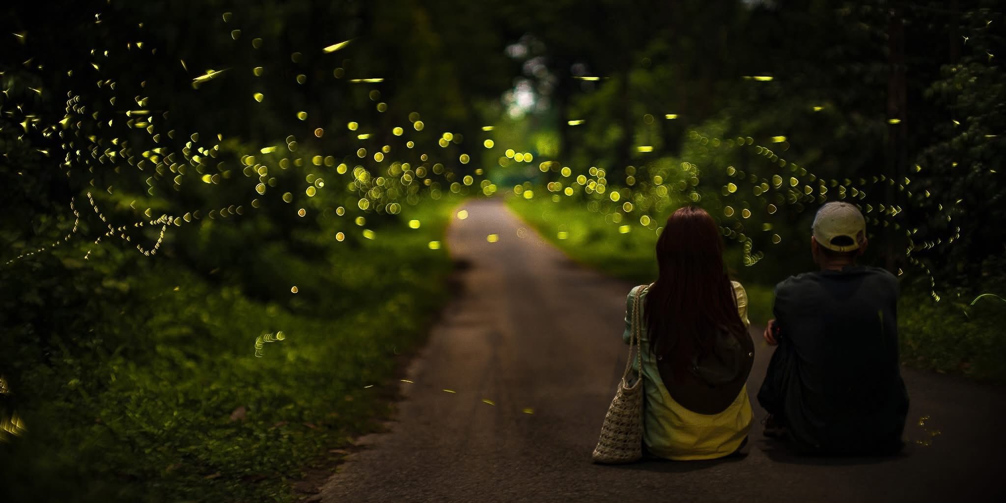 Check - in cây ráy khổng lồ đang hot rần rần, nơi du khách bỗng hóa 'người tí hon' giữa rừng già! - 8