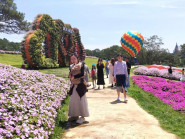 Chuyển động - Hoạt động du lịch ở Lâm Đồng diễn ra sôi động dịp lễ