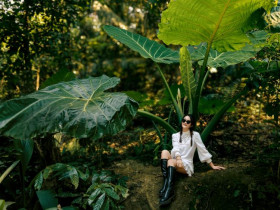  - Check - in cây ráy khổng lồ đang hot rần rần, nơi du khách bỗng hóa 'người tí hon' giữa rừng già!