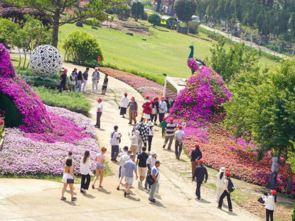  - Đến Lâm Đồng - Săn mây ngàn, lướt sóng bạc