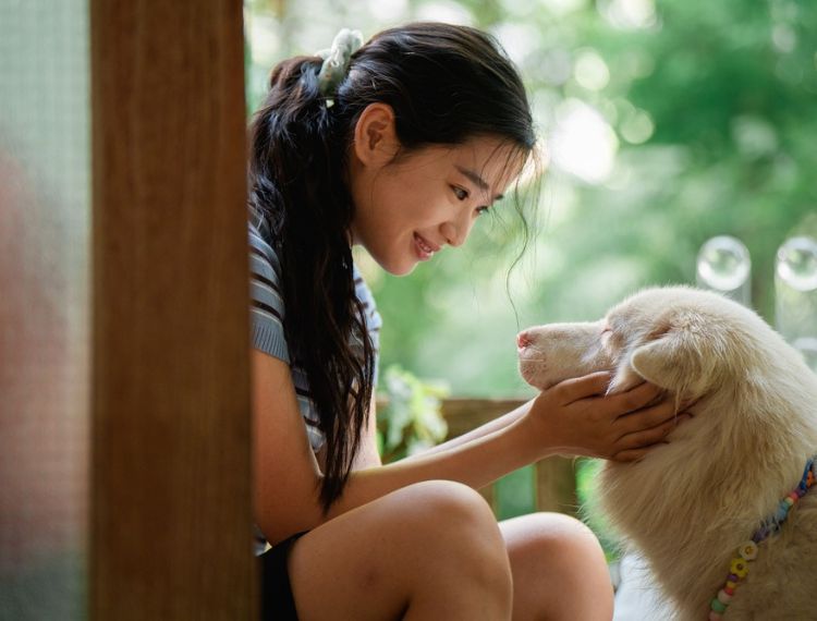 Tạm Biệt Gohan - Một chú chó, 3 cuộc đời và 3 lần chia ly thấm đẫm nước mắt