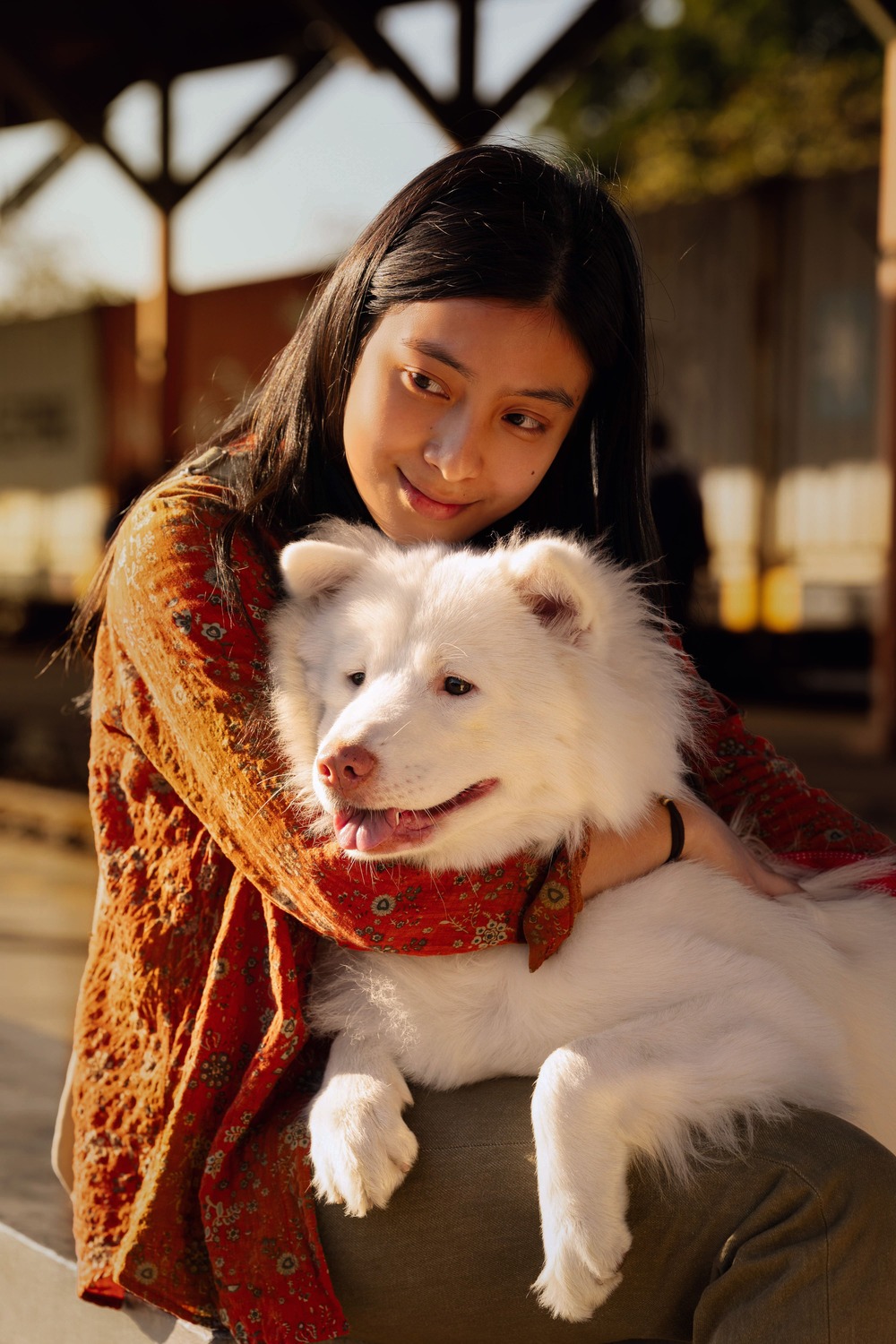 Tạm Biệt Gohan - Một chú chó, 3 cuộc đời và 3 lần chia ly thấm đẫm nước mắt - 3