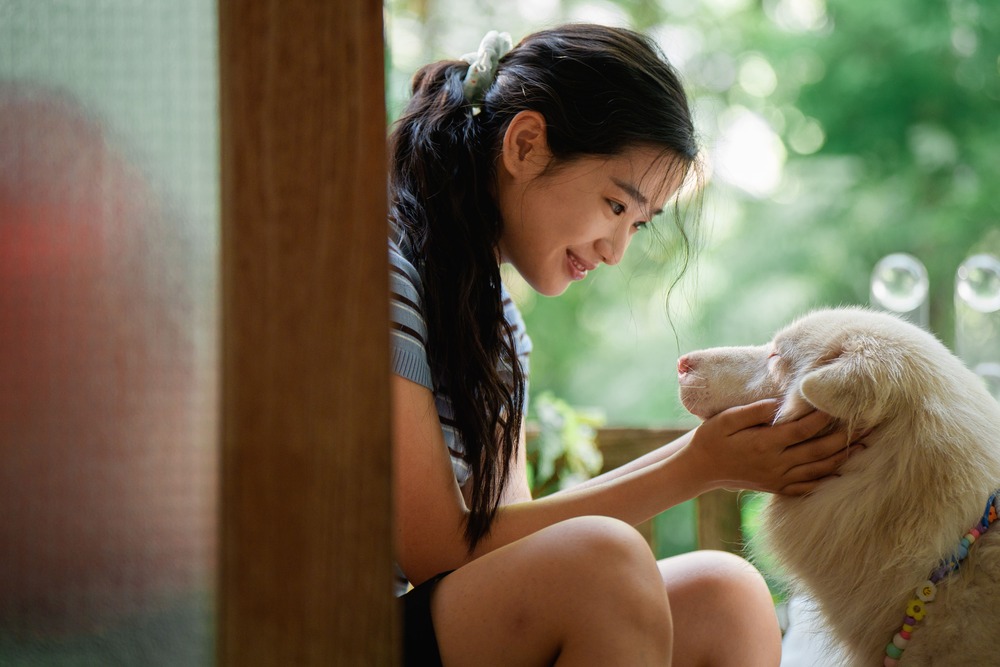 Tạm Biệt Gohan - Một chú chó, 3 cuộc đời và 3 lần chia ly thấm đẫm nước mắt - 2