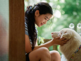  - Tạm Biệt Gohan - Một chú chó, 3 cuộc đời và 3 lần chia ly thấm đẫm nước mắt