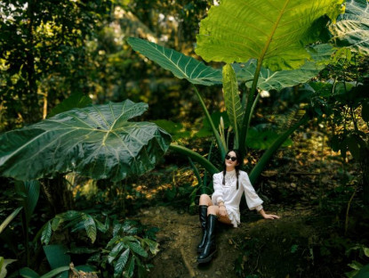  - Check - in cây ráy khổng lồ đang hot rần rần, nơi du khách bỗng hóa 'người tí hon' giữa rừng già!