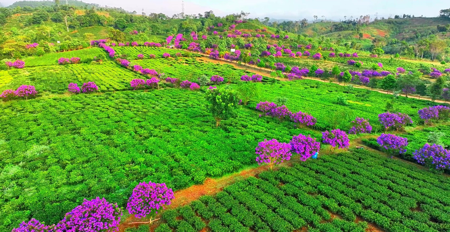 kon plong khai truong dong loat nhieu diem du lich hap dan du khach dip le 30/4 va 1/5 - 2