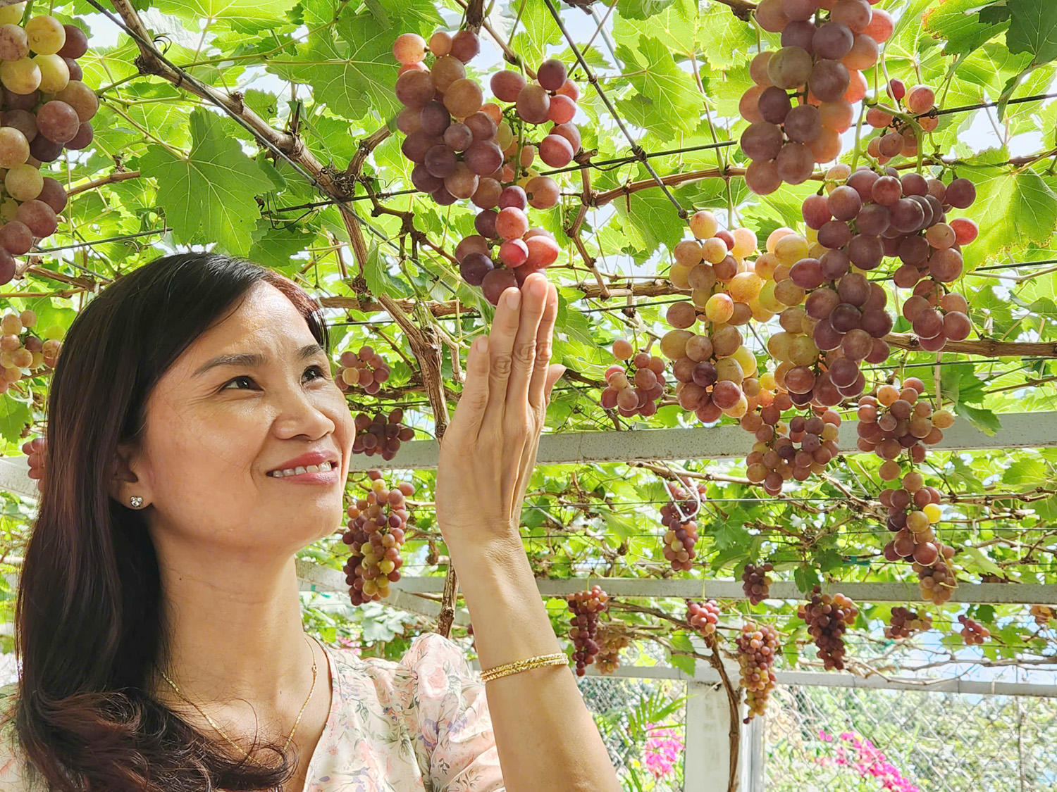 Cần Thơ khai thác tiềm năng, thế mạnh du lịch tạo đà phát triển - 1