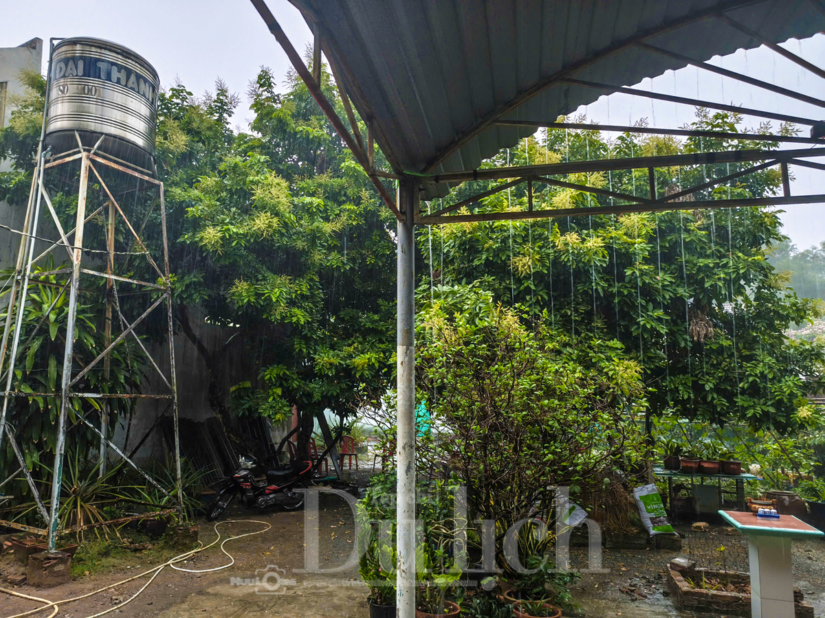 Thành phố bừng tỉnh sau cơn mưa giải nhiệt bất ngờ giữa ngày hè hầm hập nắng - 3