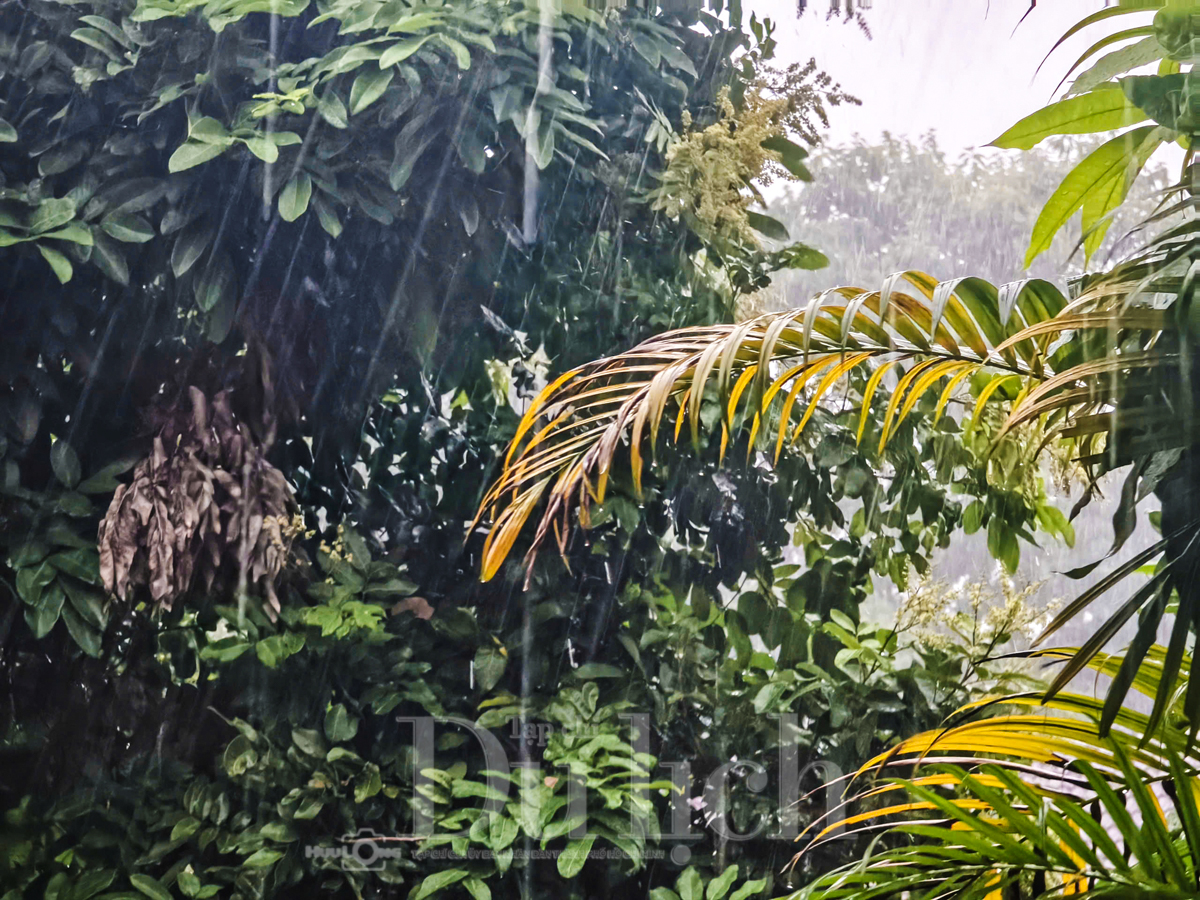 Thành phố bừng tỉnh sau cơn mưa giải nhiệt bất ngờ giữa ngày hè hầm hập nắng - 4