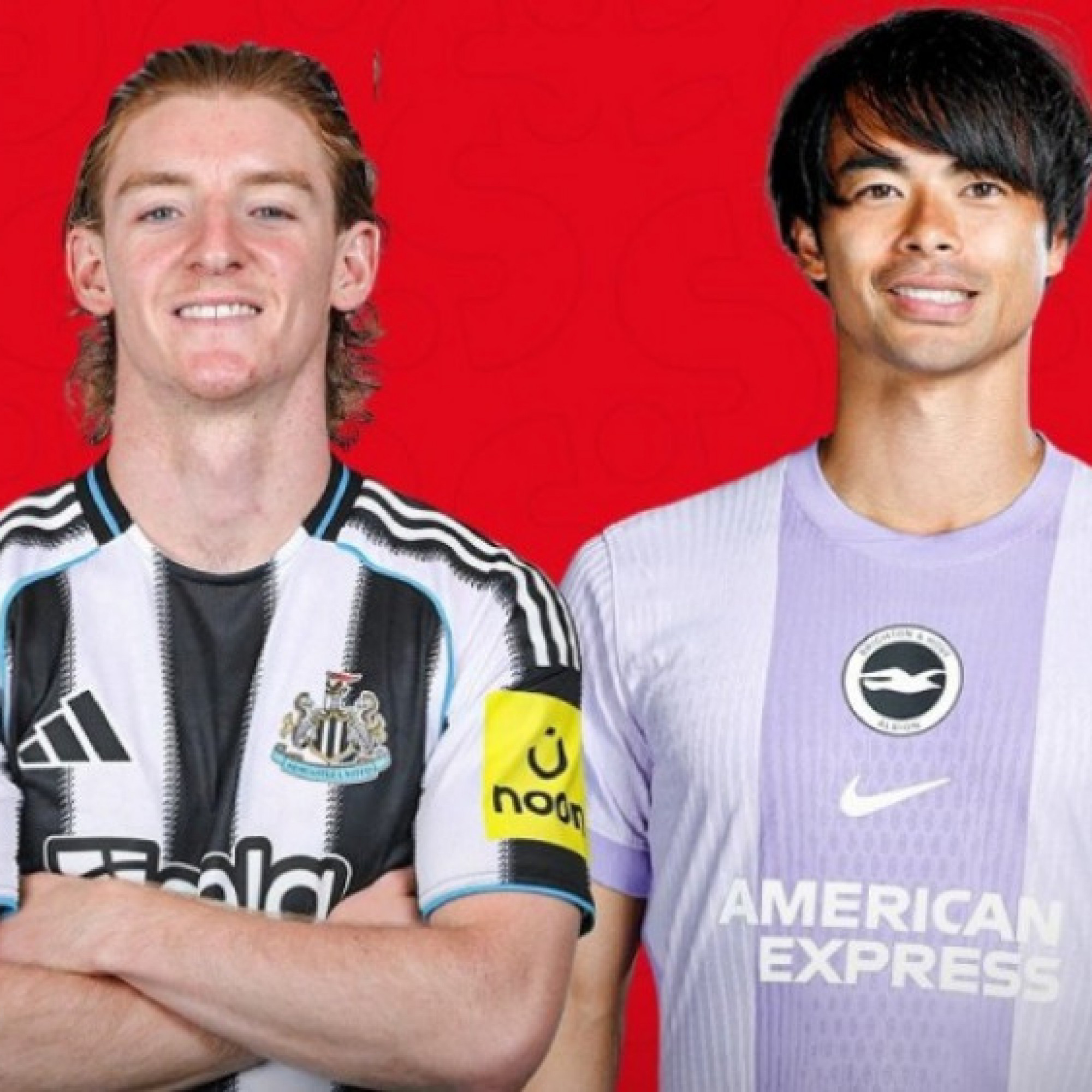  - Trực tiếp bóng đá Newcastle - Brighton: Chiến đấu vì tham vọng lấy vé Cúp C1 (Ngoại hạng Anh)