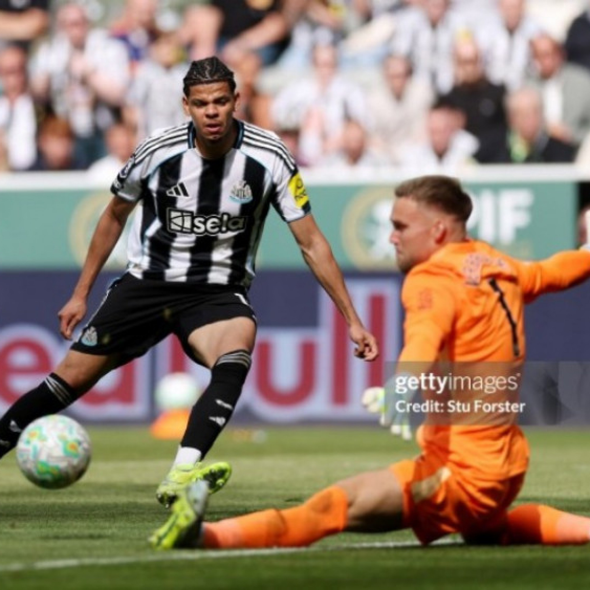  - Video bóng đá Newcastle - Brighton: Trả giá sai lầm, cay đắng xà ngang cột dọc (Ngoại hạng Anh)