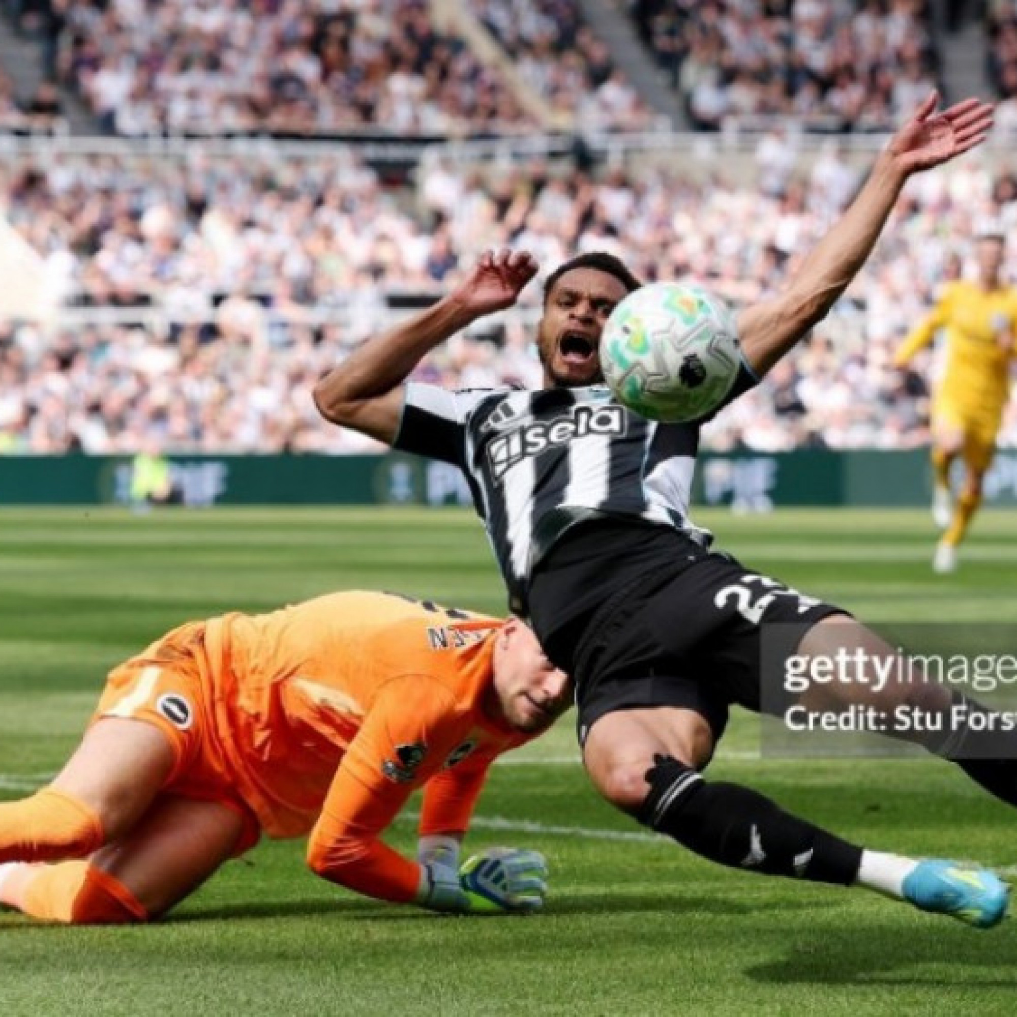 Trực tiếp bóng đá Newcastle - Brighton: Barnes ấn định (Ngoại hạng Anh) (Hết giờ)