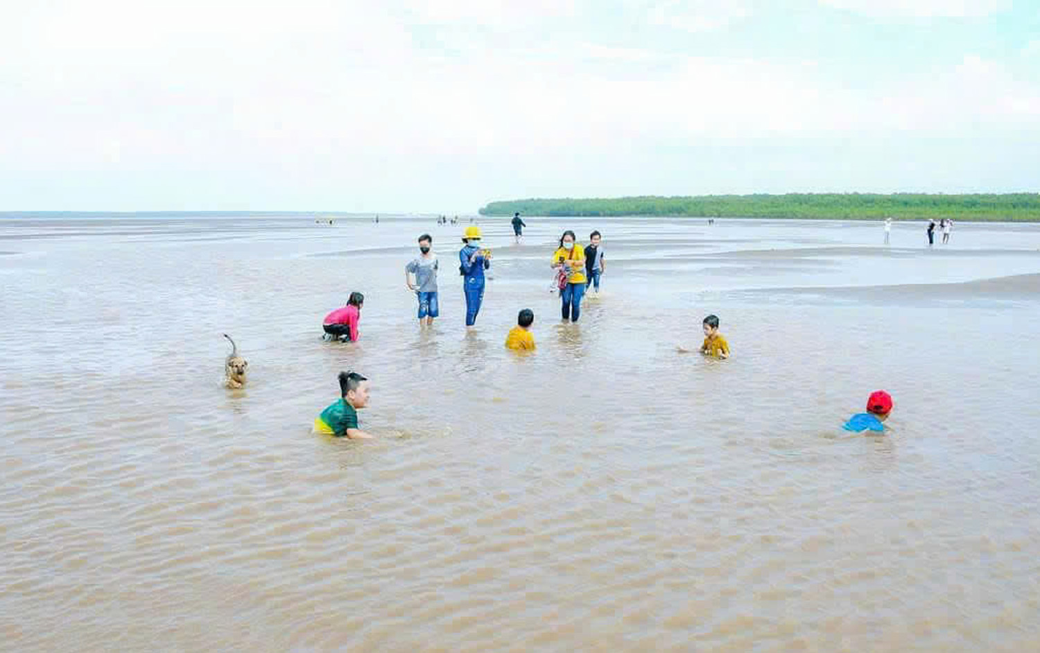 Cá tra bần – món quà quý giá của sông nước miền phù sa - 2