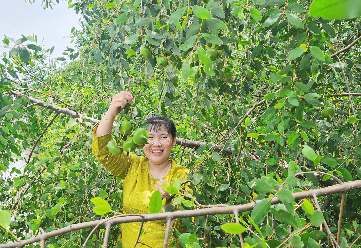 Cá tra bần – món quà quý giá của sông nước miền phù sa - 8