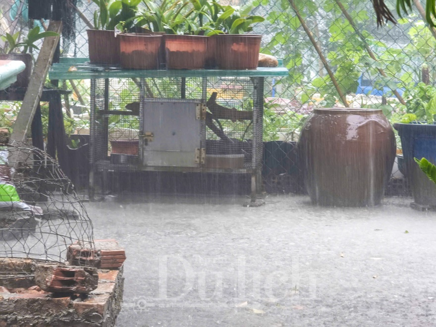 Thành phố bừng tỉnh sau cơn mưa giải nhiệt bất ngờ giữa ngày hè hầm hập nắng - 13