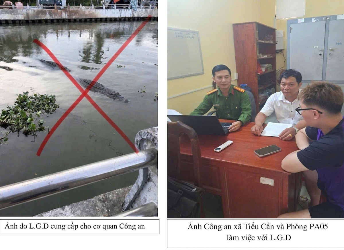 Thông tin cá sấu xuất hiện trên sông ở Vĩnh Long là tin giả dàn dựng - 2