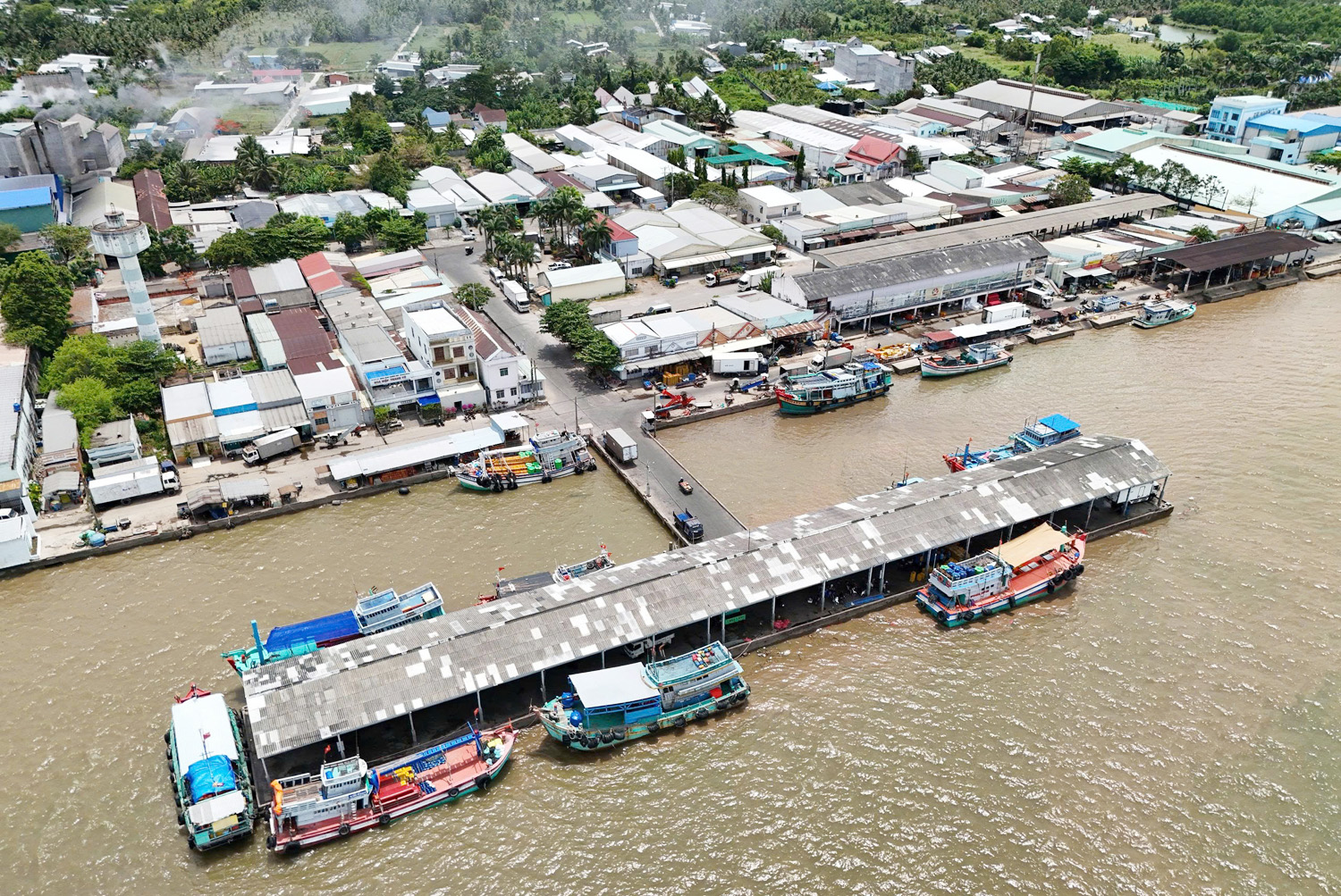 Đua mong độc đáo ở Cần Thơ - 19