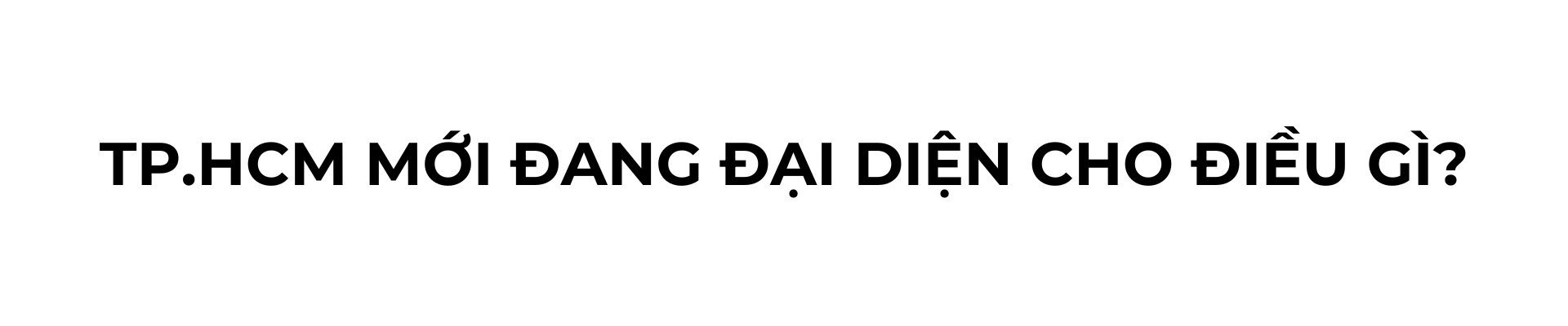 sau sap nhap, thuong hieu tp.hcm mói nen duoc dinh vi nhu the nao? - 2