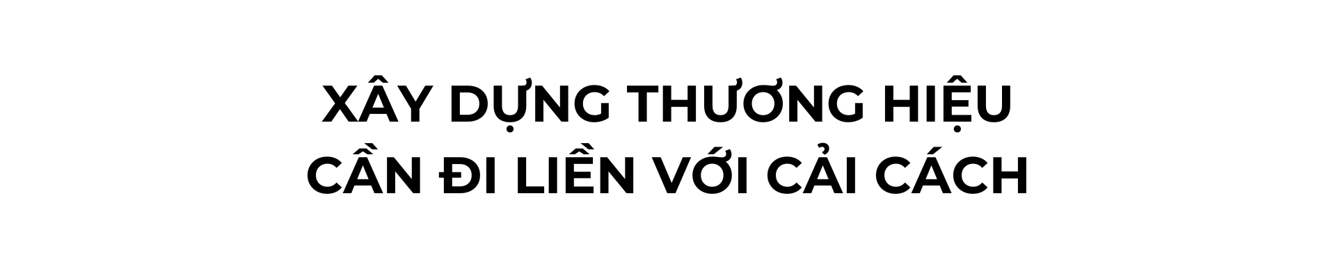 sau sap nhap, thuong hieu tp.hcm mói nen duoc dinh vi nhu the nao? - 11