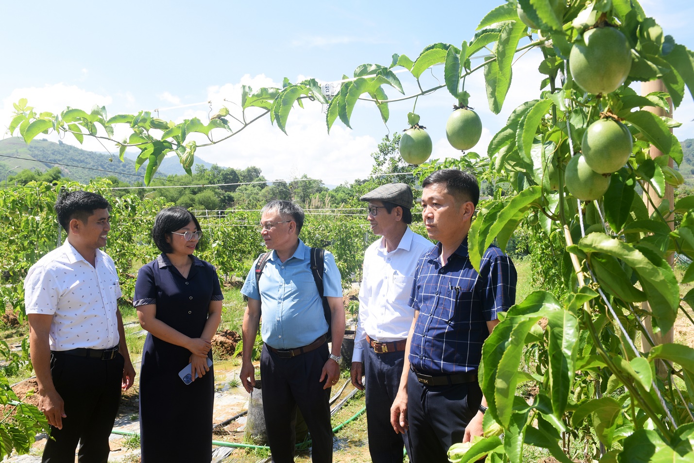 khai truong cua hang vat tu nong nghiep quy mo lon o vung cao quang ngai - 3