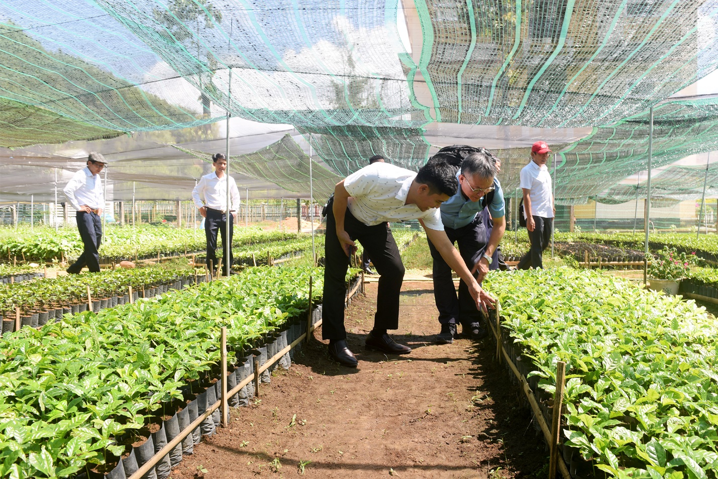 khai truong cua hang vat tu nong nghiep quy mo lon o vung cao quang ngai - 5