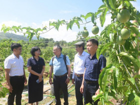  - Khai trương Cửa hàng vật tư nông nghiệp quy mô lớn ở vùng cao Quảng Ngãi