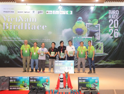 Sôi động cuộc thi quan sát chim hoang dã lớn nhất Việt Nam tại Cát Tiên