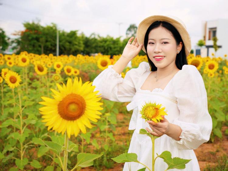 Cánh đồng hoa hướng dương đẹp như tranh ở Cần Thơ