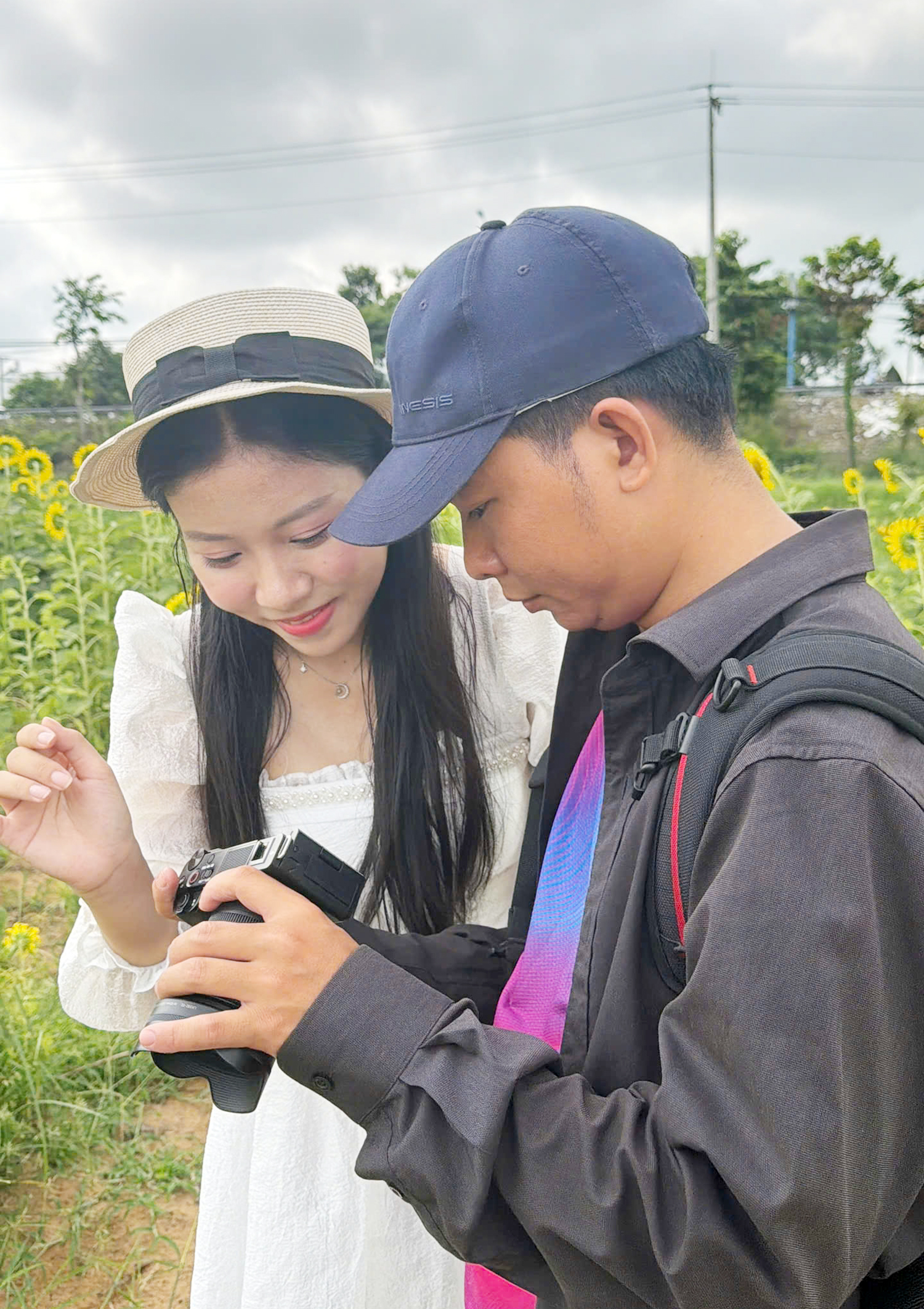 Cánh đồng hoa hướng dương đẹp như tranh ở Cần Thơ - 6