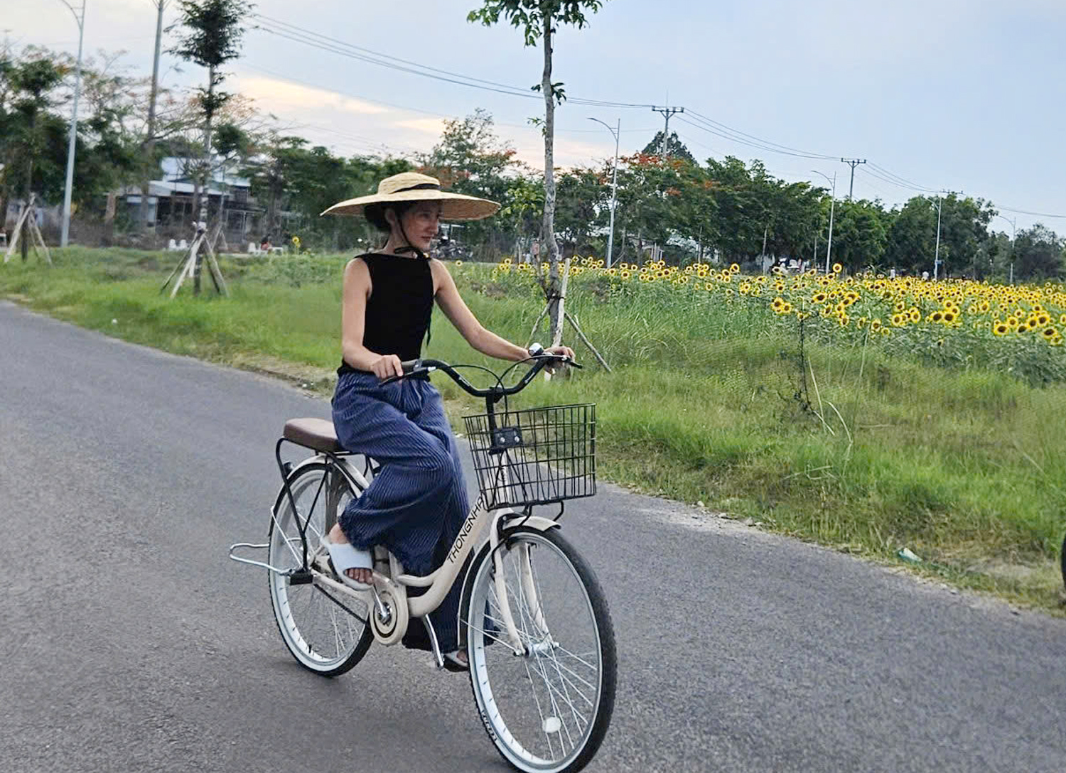 Cánh đồng hoa hướng dương đẹp như tranh ở Cần Thơ - 8