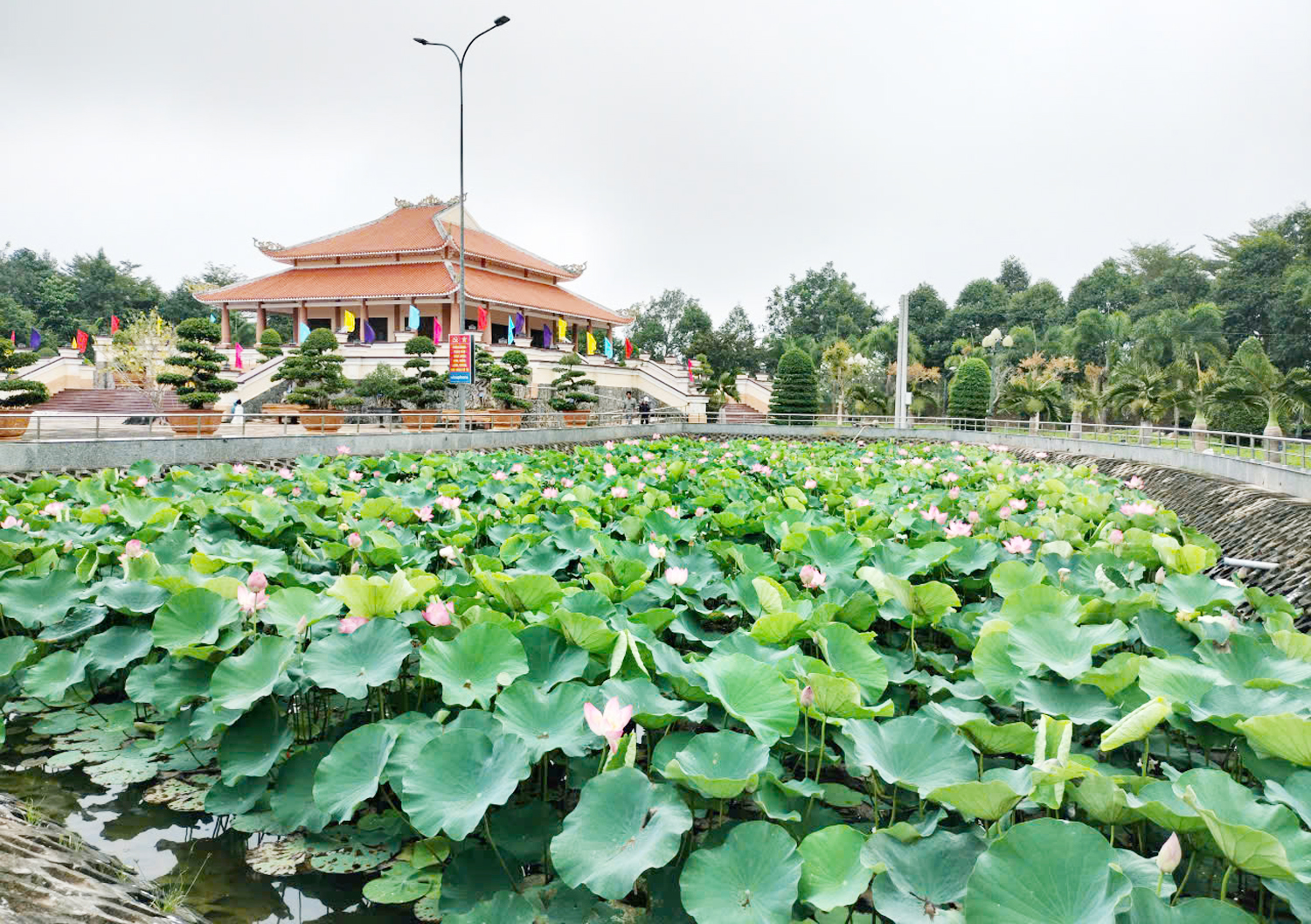 Không gian phát triển du lịch xanh ở xã An Thạnh - 4