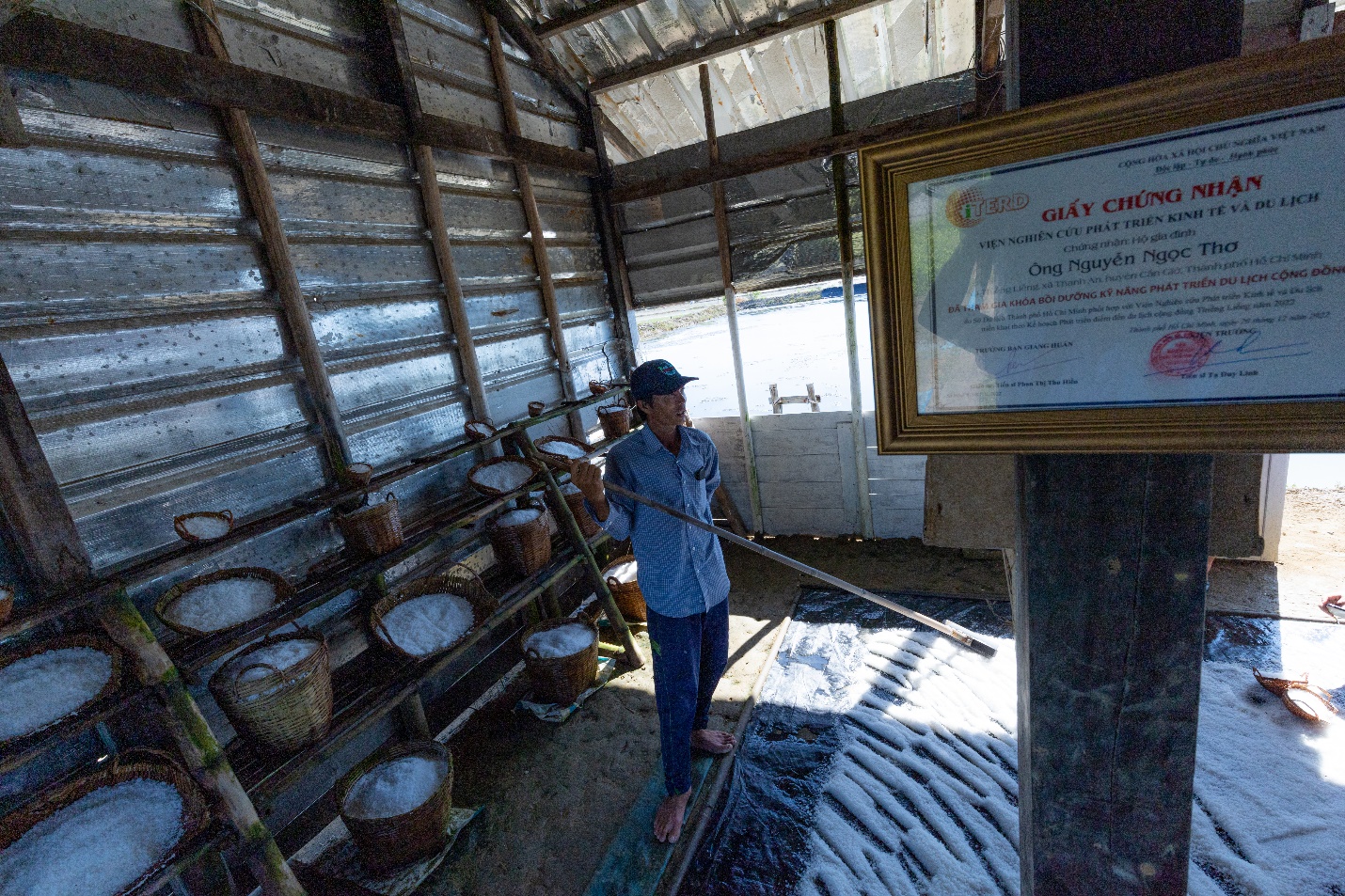 can gio - khat vong xanh cho tuong lai tp.hcm - 7