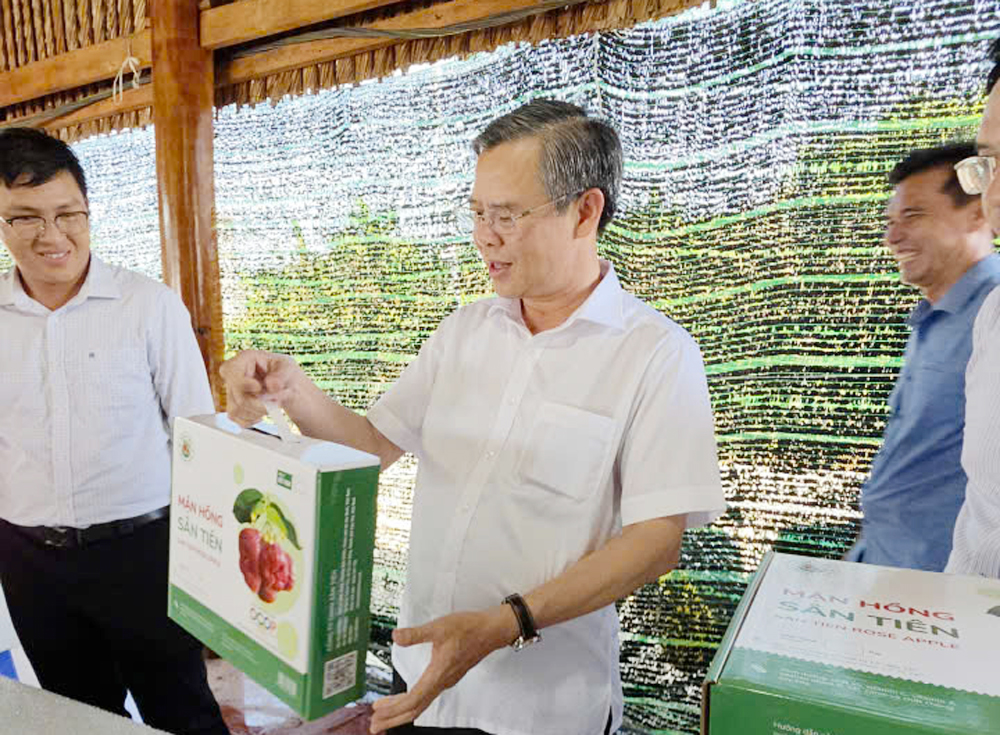 Cần Thơ tìm hướng mở tuyến phà kết nối du lịch Cù Lao Dung với Trần Đề - 1