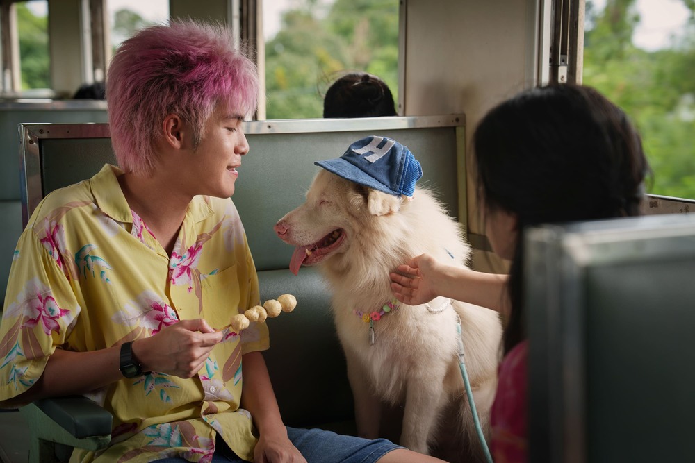 “Tạm Biệt Gohan” gây sốt phòng vé Việt, lấy nước mắt khán giả bằng câu chuyện chữa lành về chú chó nhỏ - 3