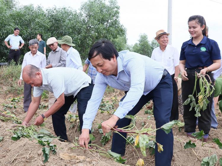 Xã Trường Giang phát động “Ngày hội xuống giống Khoai lang Nhật Bản”