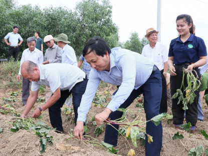  - Xã Trường Giang phát động “Ngày hội xuống giống Khoai lang Nhật Bản”