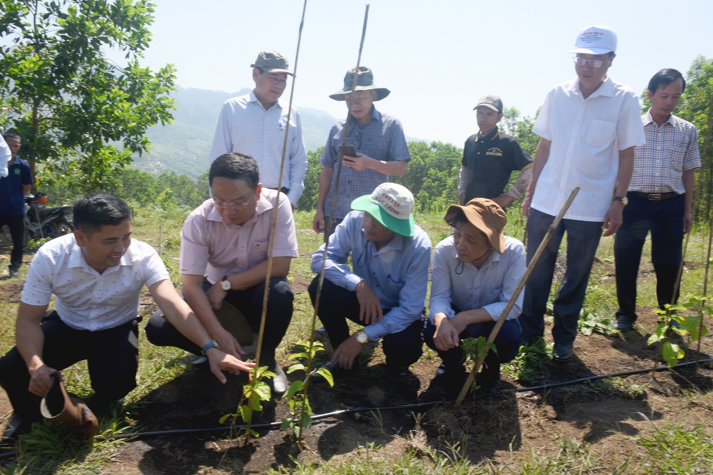 vietcombank chi nhanh quang ngai ky ket hop tac voi xa son tay thuong - 6