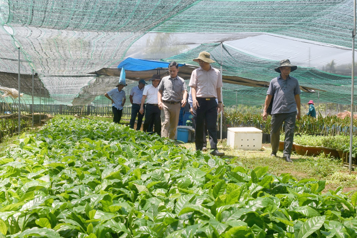 vietcombank chi nhanh quang ngai ky ket hop tac voi xa son tay thuong - 5