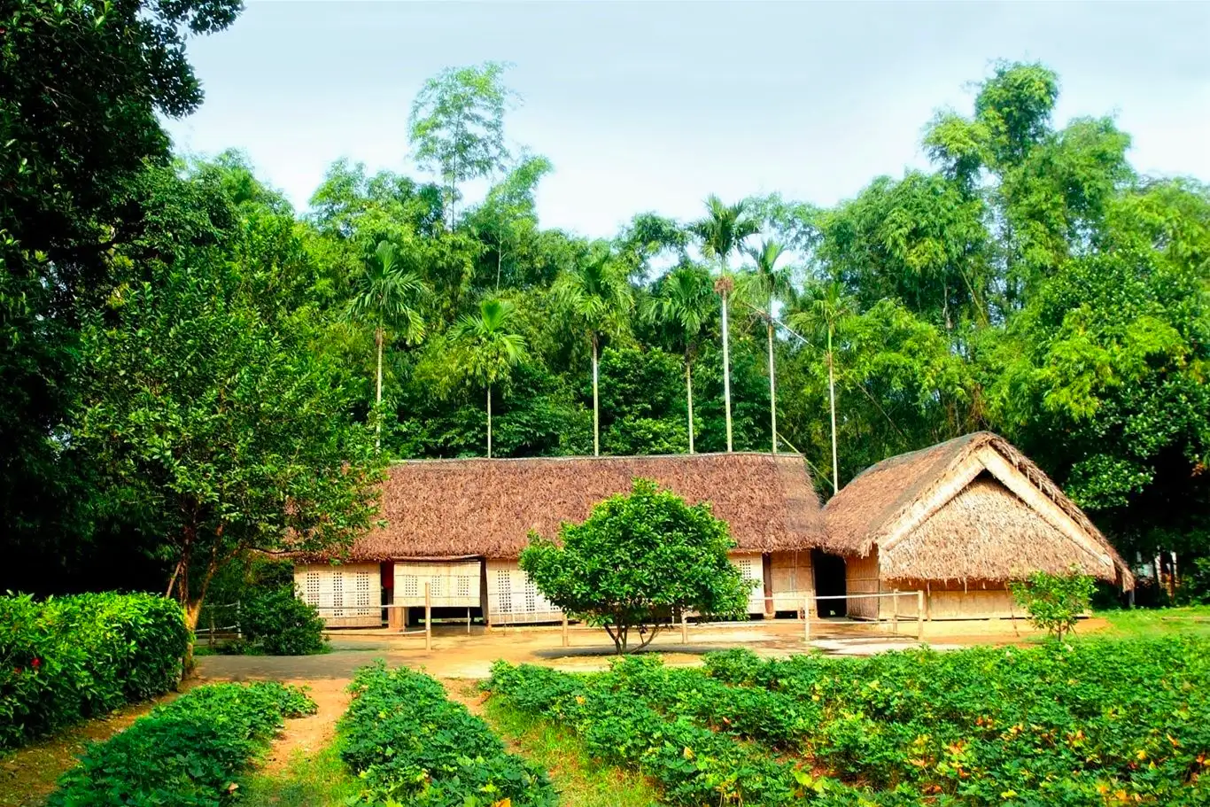 Nghệ An có thêm Khu du lịch quốc gia mang dấu ấn Chủ tịch Hồ Chí Minh - 3