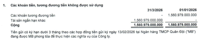 Vì sao một doanh nghiệp địa ốc bị ngân hàng phong tỏa gần 1.600 tỷ đồng? - 3