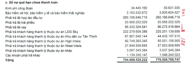 Vì sao một doanh nghiệp địa ốc bị ngân hàng phong tỏa gần 1.600 tỷ đồng? - 4