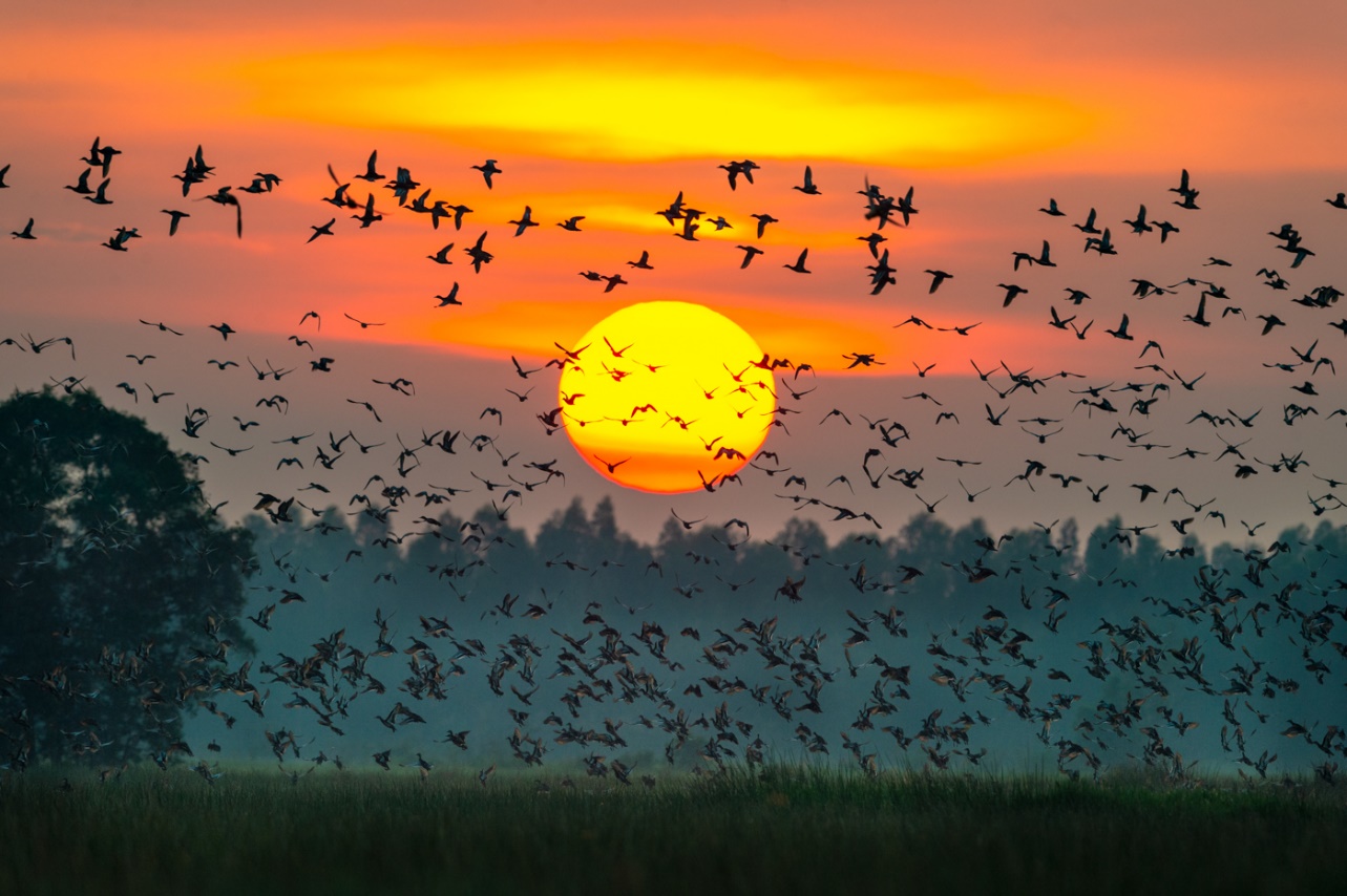 Từ nhiếp ảnh wildlife đến kinh tế bảo tồn: Lựa chọn nào cho Việt Nam? - 7