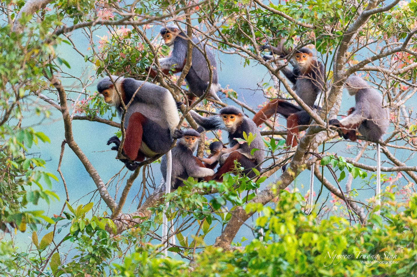 Từ nhiếp ảnh wildlife đến kinh tế bảo tồn: Lựa chọn nào cho Việt Nam? - 9