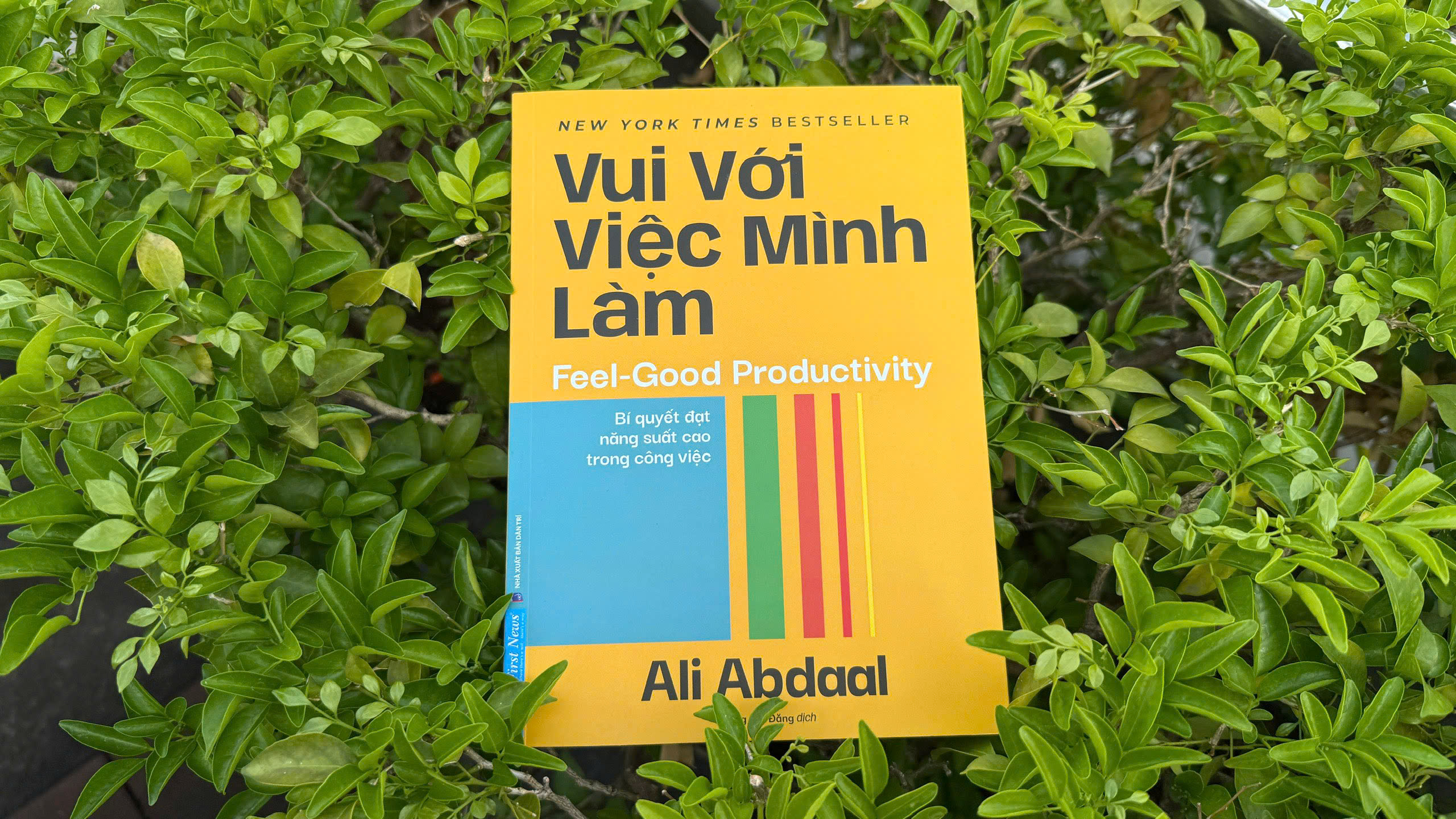 Bí mật của năng suất không nằm ở kỷ luật, mà ở niềm vui - 3