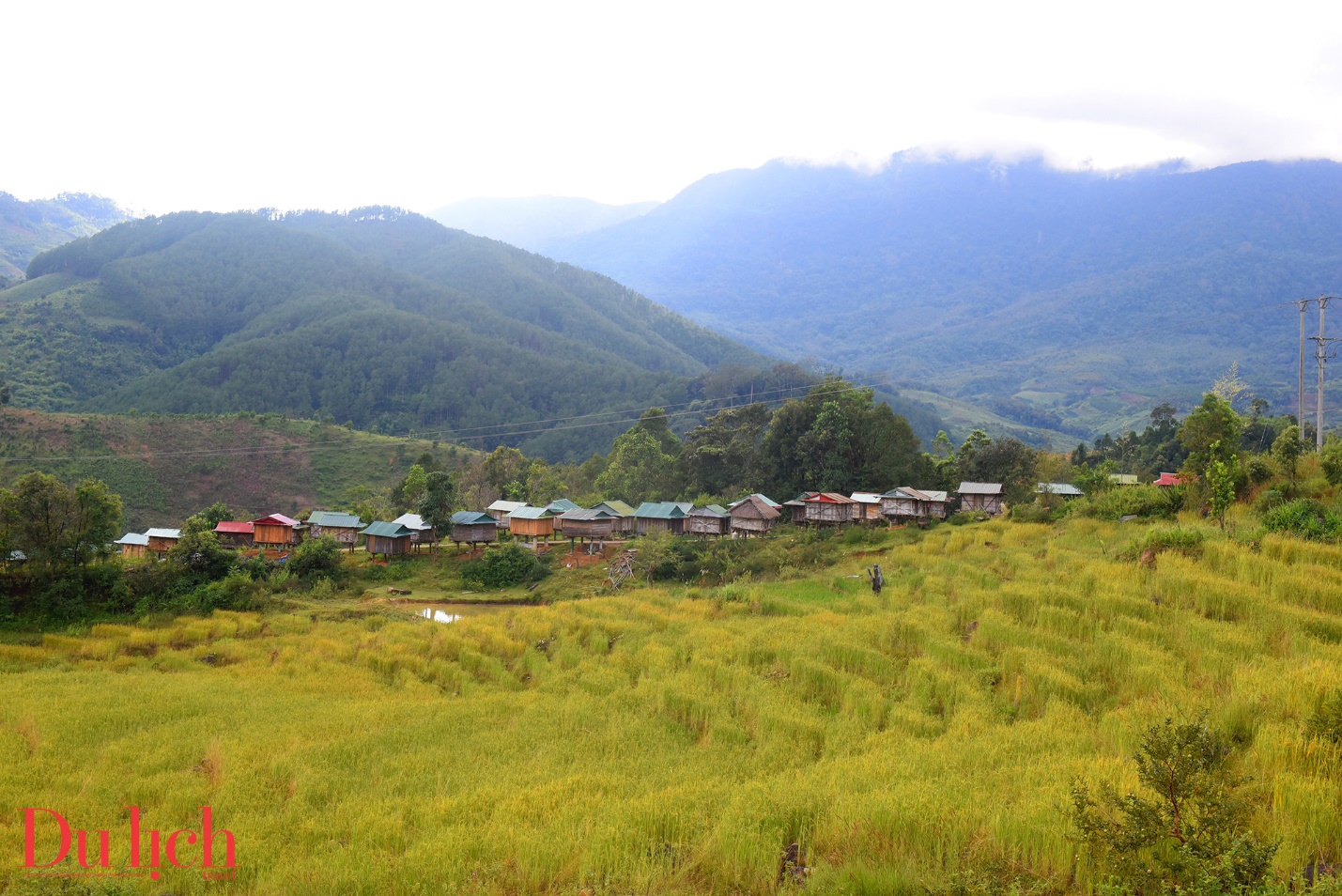 kho lua truyen thong, di san van hoa doc dao giua dai ngan ngoc linh - 2