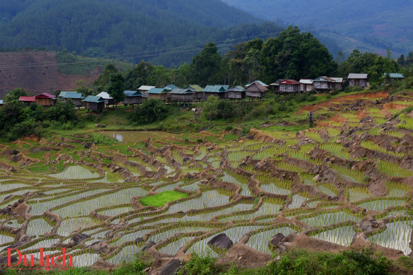 kho lua truyen thong, di san van hoa doc dao giua dai ngan ngoc linh - 9